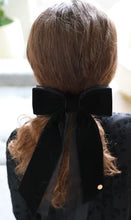 Organza Velvet Large Clip