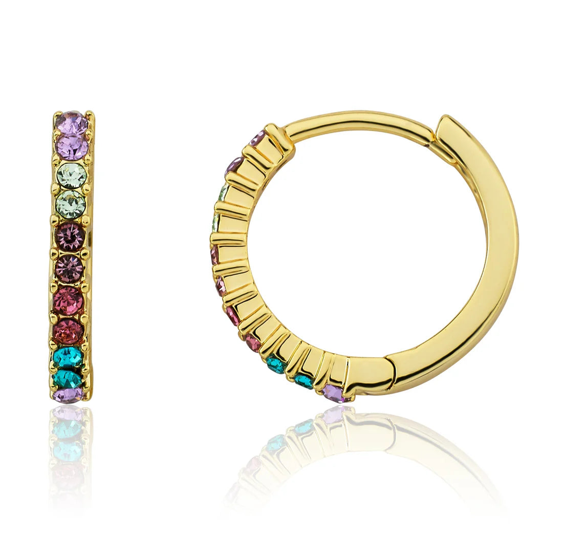 Medium Sized Crystal Huggy Earring